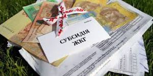Сумщина: Декому доведеться повернути субсидії